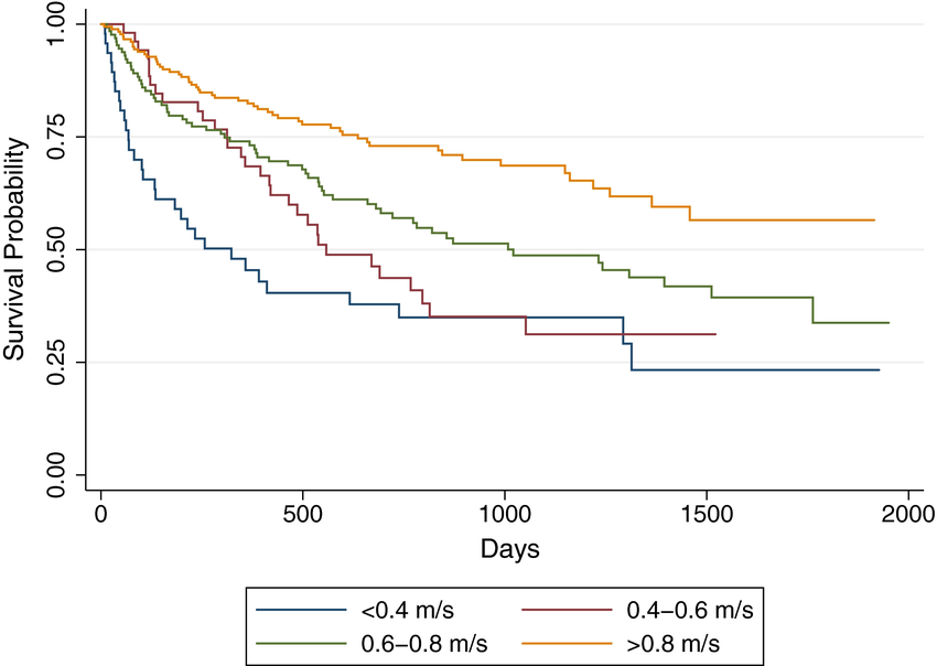 Kaplan‐Meier survival curves by gait speed category for the entire study cohort.